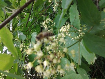 rsz_20160507_134308.jpg