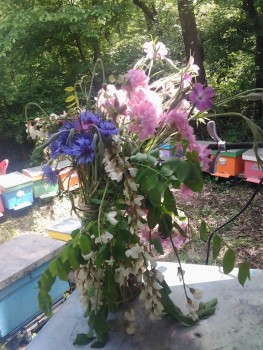 rsz_20160510_125453.jpg