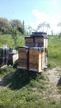 rsz_img_20160511_141925.jpg
