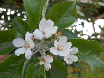 rsz_dscn1769.jpg