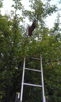 WP_20160517_011.jpg
