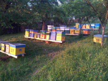 rsz_2016-05-20_201037.jpg