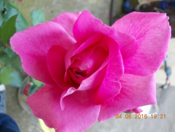 rsz_1dscn1924.jpg