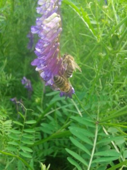 rsz_20160605_172141.jpg