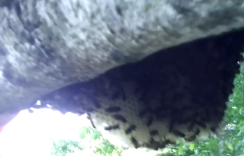 Screenshot.png