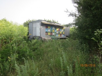 timg_2246.jpg
