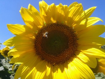 rsz_img_4477.jpg