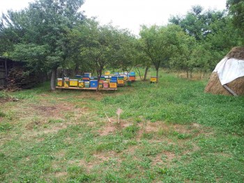 rsz_2016-07-15_192010.jpg