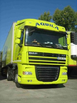 1278417608-28_aquila.jpg