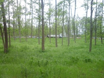 rsz_20160502_143009.jpg