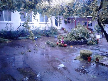 IMG_20120101_072939.jpg