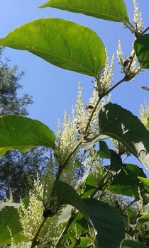 20160821_134806.jpg