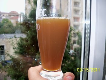 100_3958A.JPG