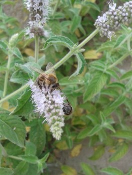 rsz_20160914_121945.jpg
