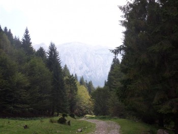 spre_creasta (Medium).JPG