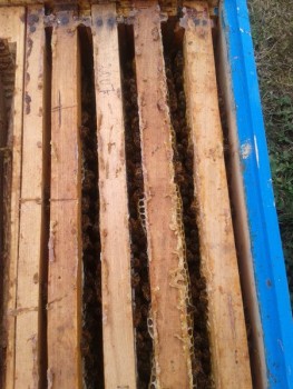 rsz_20160923_143714.jpg