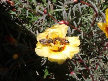 rsz_20160929_115751.jpg