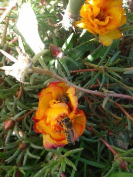 rsz_20160929_115717.jpg