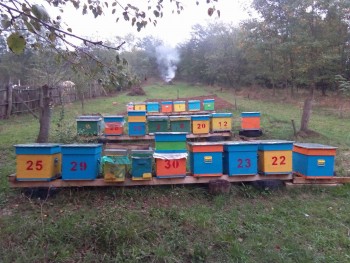 rsz_2016-10-07_173927.jpg