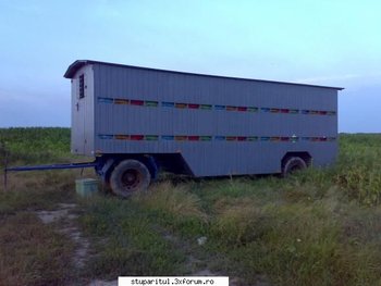ok_115044.jpg