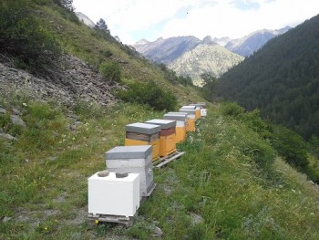 20130811_161943.jpg