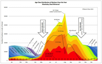 fig-049-600x377.png