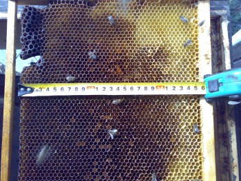 07102009221.jpg