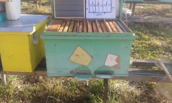 20161118_143547.jpg