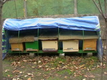 IMGA0770.JPG