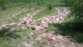 aratura salcam.jpg