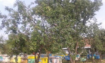 20160729_184958.jpg
