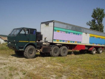 dac_665t-2.jpg