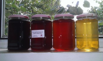 WP_20160816_012 - Copy.jpg