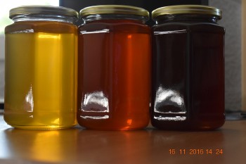 DSC_0039 - Copy.JPG