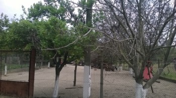 WP_20160424_001.jpg