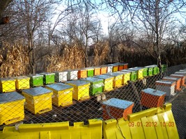 dec 2011 - ian 2012 087 (Copy).jpg