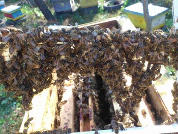 poza3.jpg