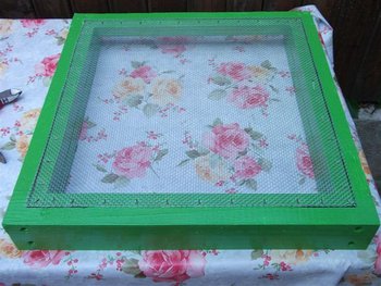 DSCF1504 (Small).JPG