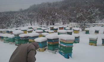 20170107_101526.jpg