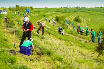 acțiune_de_plantare_upc_românia_și_maimultverde_(3).jpg