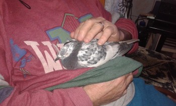20170110_153157.jpg