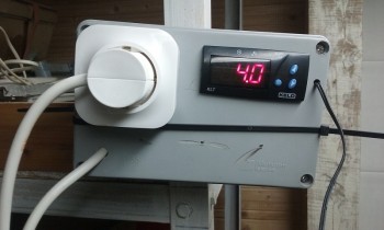 temperatura.jpg