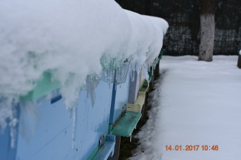 DSC_0546 - Copy.JPG