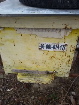 16492158_1241188212614848_1376263403_o.jpg