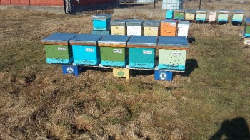 20170210_123137-816x459.jpg