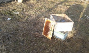 20170204_162325.jpg