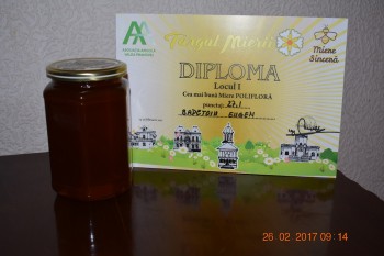DSC_0779 - Copy.JPG