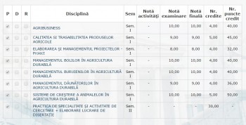 an  II.jpg