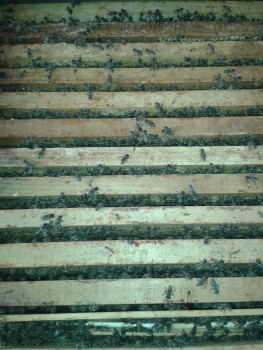 rsz_20170404_152449.jpg