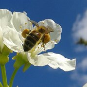 rsz_20170409_122543-1-1.jpg